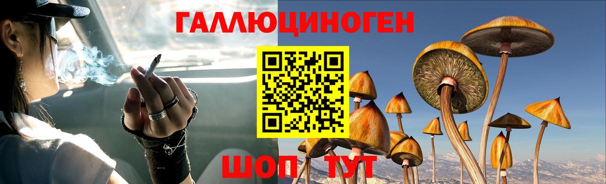 Арзамас  Галлюциногенные грибы GOLDEN TEACHER  Вход с VPN 